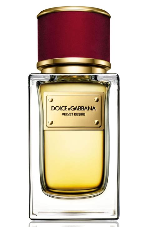 nordstrom dolce gabbana